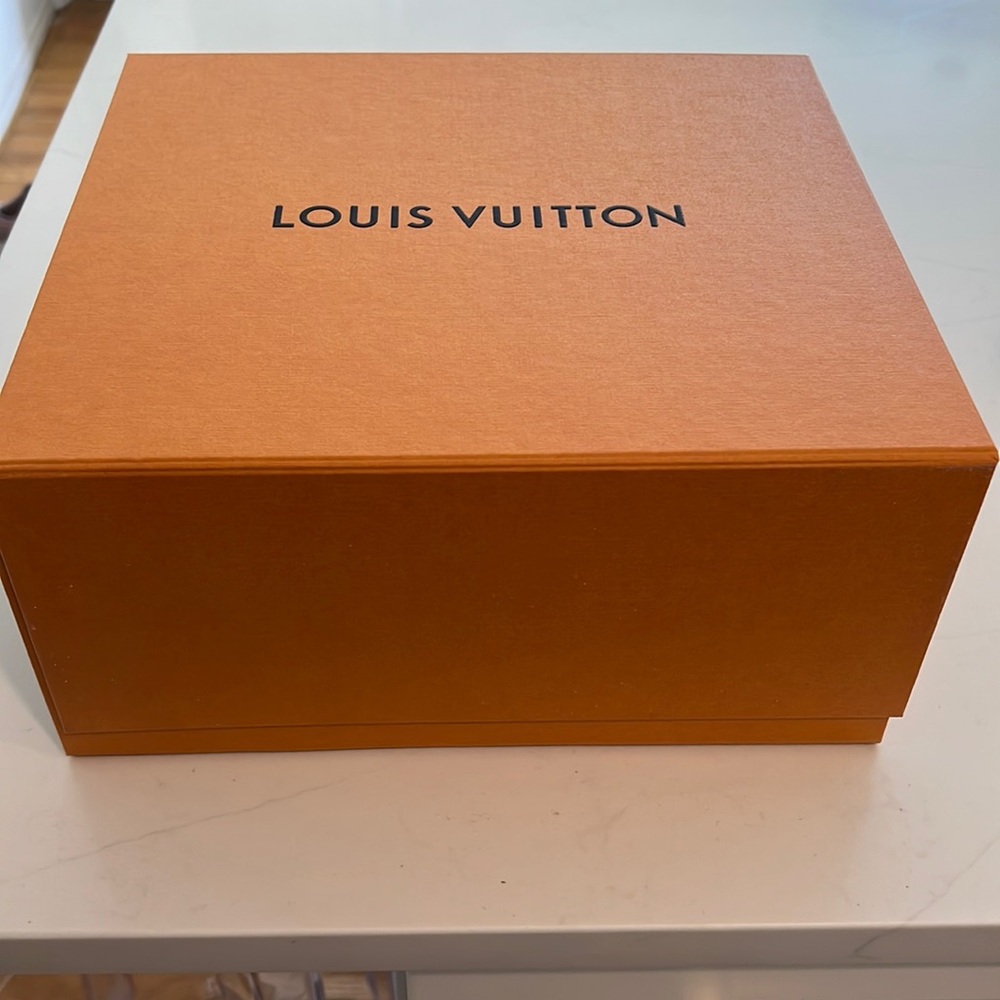 Louis Vuitton Large Box *brand new with duster*